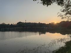 -东莞植物园
