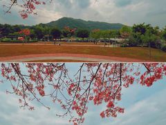 -风云岭森林公园