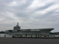 -东方绿舟景区