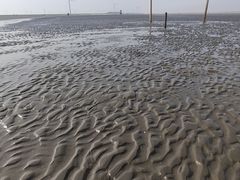 -启东黄金海滩景区