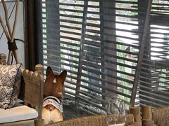 -MOJ coffee(瓯海泽雅水碓坑店)