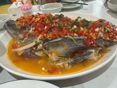 -全乐鱼馆·淳牌有机鱼直营店