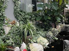 -谷咖啡·鲜花绿植花园餐厅