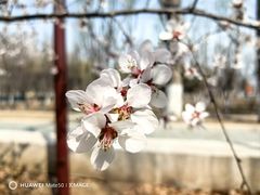 -南海子公园