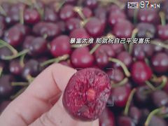 -海吉星市场