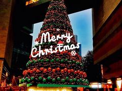 -Tiffany & Co.蒂芙尼
(南京德基广场店)