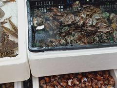 -青石桥市场北1-27号