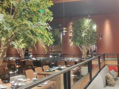-同仁四季椰子鸡(海岸城天利店)