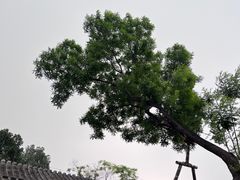 -保定直隶总督署博物馆