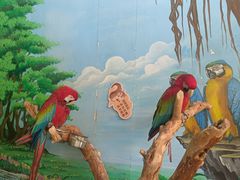 -辛玛王国游乐园