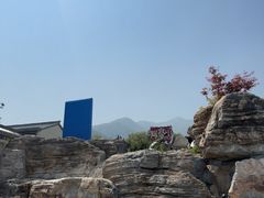 -阳台山自然风景区