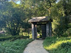 -南山植物园