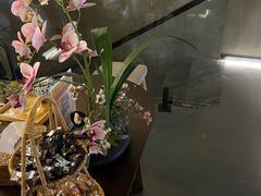 -施奈儿.洗头頭療.按摩SPA.采耳(上梅林店)