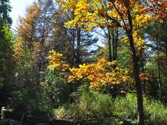 -洛阳白云山景区