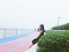-琴岛之星摩天轮