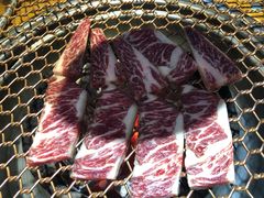 烤牛肋条-老炉家木炭烤肉(长江国际店)