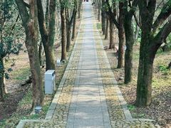 -虞山风景区