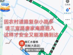 -南汇水蜜桃采摘(大团店)