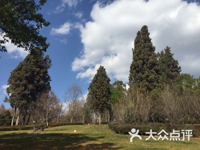 昆明园林植物园图片 - 第10张