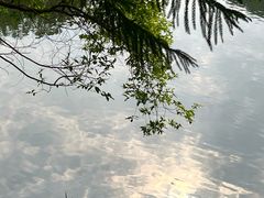 -忠山公园