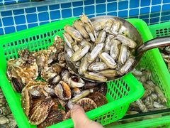 -富临港蒸汽海鲜(栈桥店)