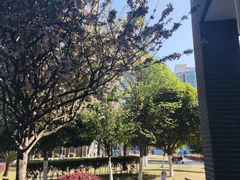 -四川大学(华西校区)