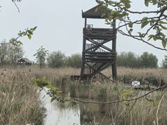 -盐城丹顶鹤湿地生态旅游区