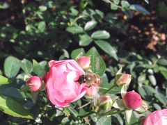 -人民公园(罗湖区)