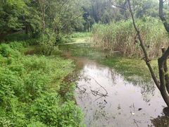 -西湖风景区-江洋畈生态公园
