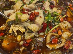 -乡土特色.冷锅鱼.牦牛肉汤锅