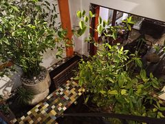 -Cuc Gach Quan Restaurant