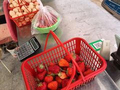 -大自然农场蔬菜草莓采摘园