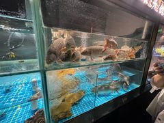 -阿五黄河大鲤鱼(纬三路店)