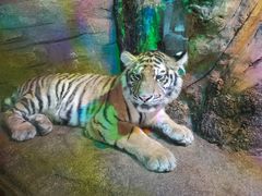 -沈阳海洋探索中心