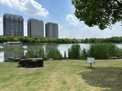 -南翔镇银翔湖公园