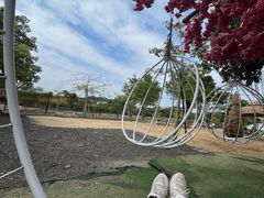 -长洲岛都市农业公园