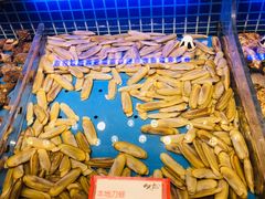 -必点海鲜·鲅鱼水饺(鞍山西道店)