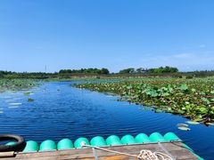 -上海海湾国家森林公园