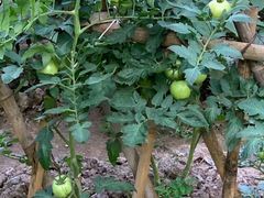 -驿舍·民國老营房院子私房菜(科学会堂店)