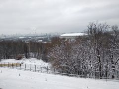 -莫斯科大学