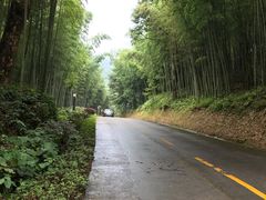 -广州市石门国家森林公园