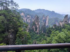 -印象鲵宴·张家界地标美食名片(溪布街店)