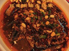 -铁公鸡·四川料理(天环广场店)