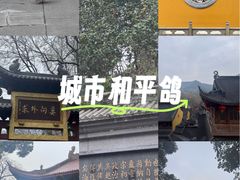 -十里琅珰