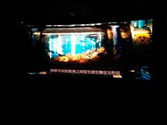 -奥斯卡升龙国际影城(RealD Cinema)