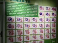 -太原动物园