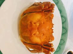 -上海精菜馆(虎踞关店)