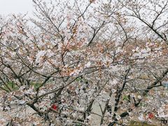 -苏州上方山国家森林公园