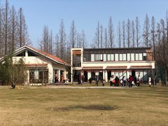 -前小桔亲子创意农场·草莓采摘·露营烧烤