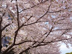 -江南大学(蠡湖校区)